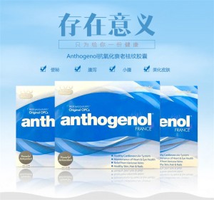 Anthogenol 月光宝盒 100粒 2023-08