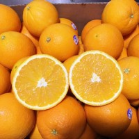 国内现货 澳洲甜橙 12个装