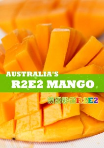 顺丰发货 国内现货 R2E2澳洲芒果 4/ 6个装 超甜多汁 单果净重约450g-500g
