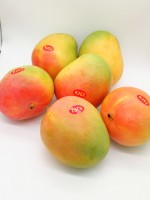 顺丰发货 国内现货 R2E2澳洲芒果 4/ 6个装 超甜多汁 单果净重约450g-500g