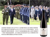 【国内现货】Greystone Pinot Noir 灰石园酒庄黑皮诺 2015年 一瓶包邮 新西兰宴请习大大用酒