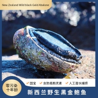 【国内仓现货】新西兰野生黑金鲍鱼（特大号）约500g-600g/1个